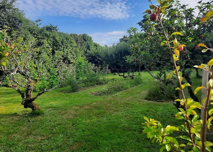 Le Clos De La Fuie, La Perrière, Perche Hébergement de vacances