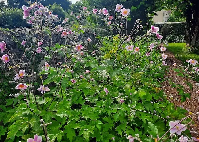 Le Clos De La Fuie, La Perrière, Perche Hébergement de vacances *